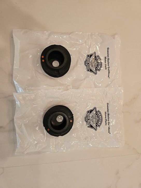 Titan Motorcycle Co. of America Rm Rear Swing Arm Isolators