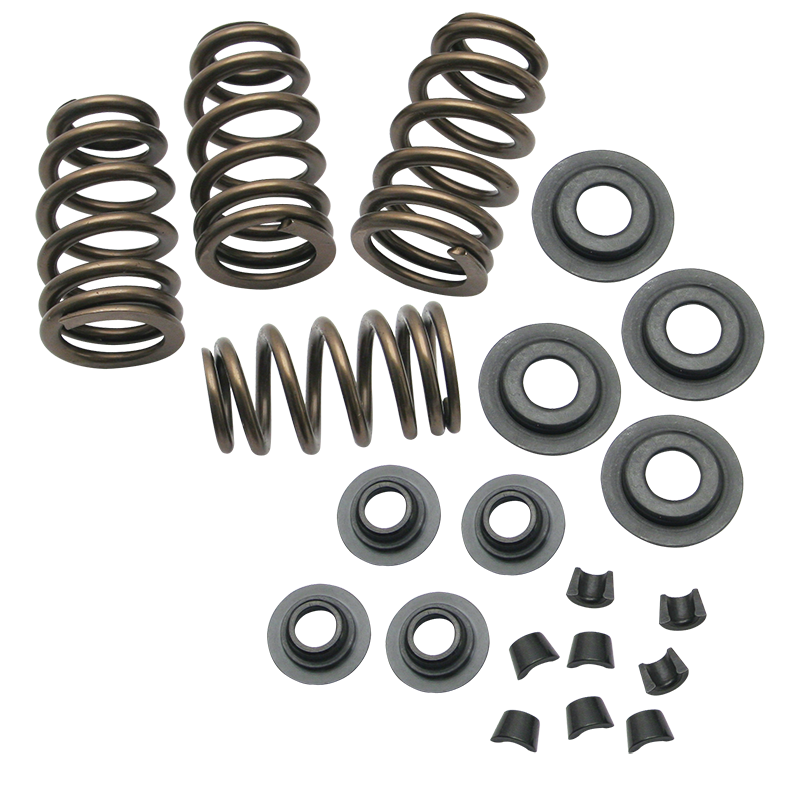 Titan Motorcycle Co. of America S&S Cycle .650" Lift Sidewinder® Valve Spring Kit for 1984-2004 Big Twins and 1986-2003 HD® Sportster® Models