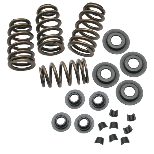 Titan Motorcycle Co. of America S&S Cycle .650" Lift Sidewinder® Valve Spring Kit for 1984-2004 Big Twins and 1986-2003 HD® Sportster® Models